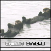 Bestand:Chillin otters.jpg