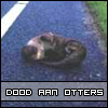 Bestand:Dood aan otters.jpg