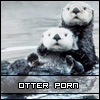 Bestand:Otter porn.jpg