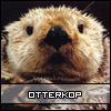 Bestand:Otterkop.jpg